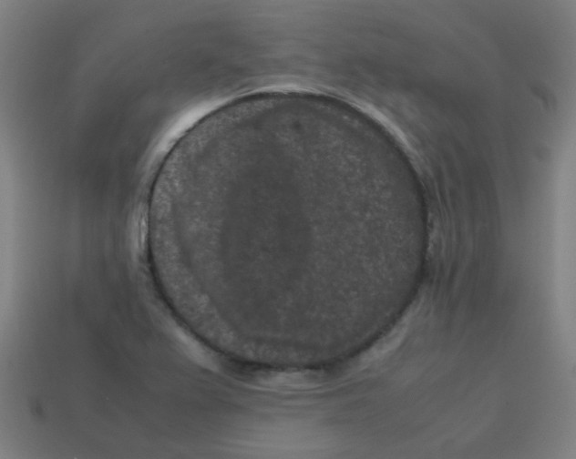 X0000113241367200910081249