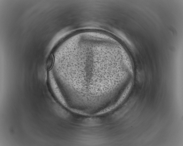 X0000113241368200910081249