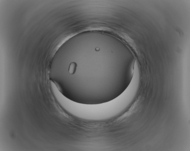 X0000113241369200910081249