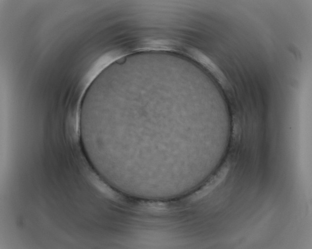 X0000113241370200910081249