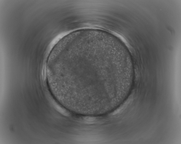 X0000113241371200910081249