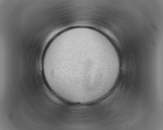 X0000113241372200910081249