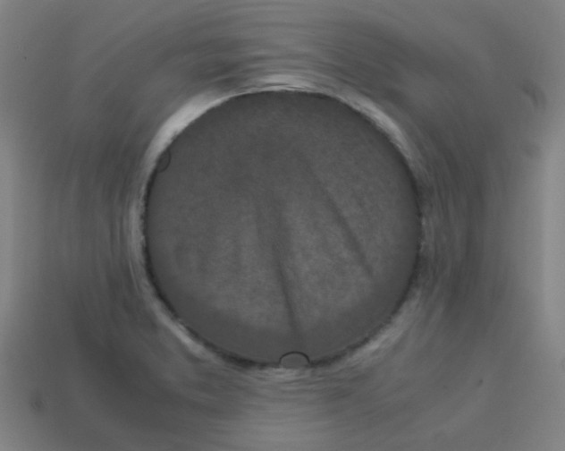 X0000113241373200910081249