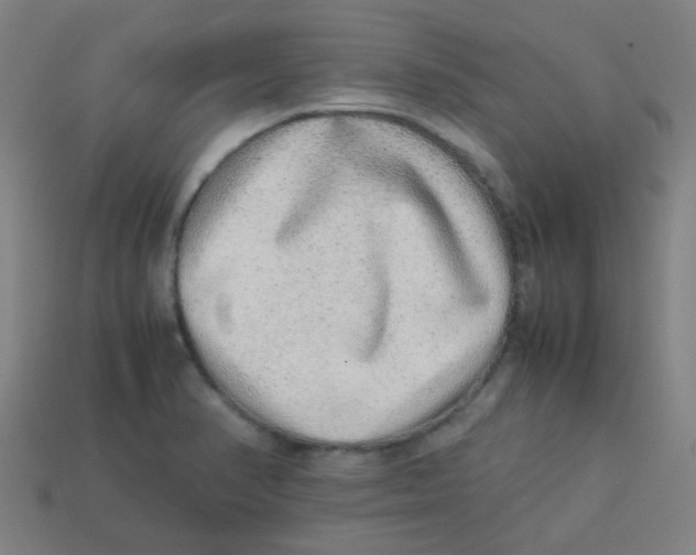 X0000113241374200910081249