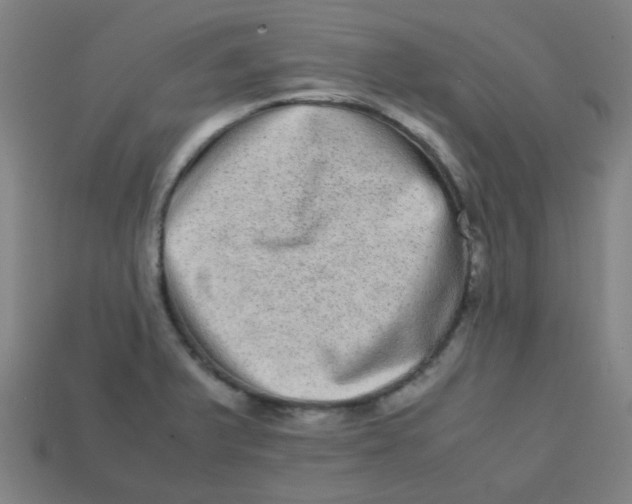 X0000113241375200910081249