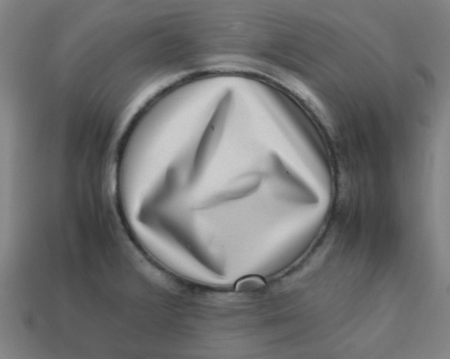 X0000113241376200910081249