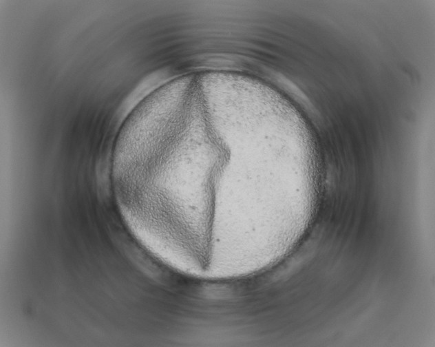 X0000113241378200910081249