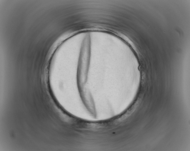 X0000113241379200910081249