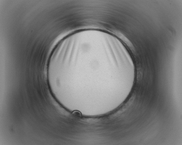 X0000113241380200910081249