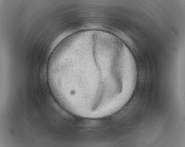 X0000113241382200910081249