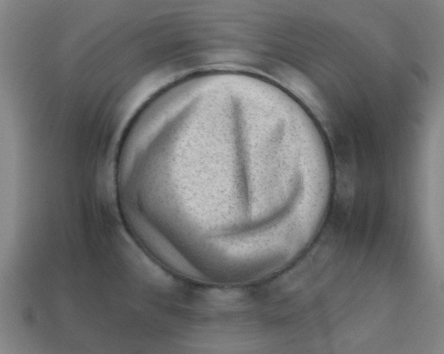 X0000113241384200910081249