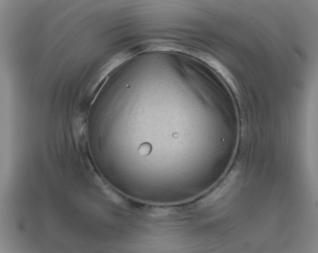 X0000113241385200910081249