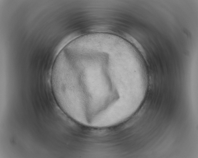 X0000113241386200910081249