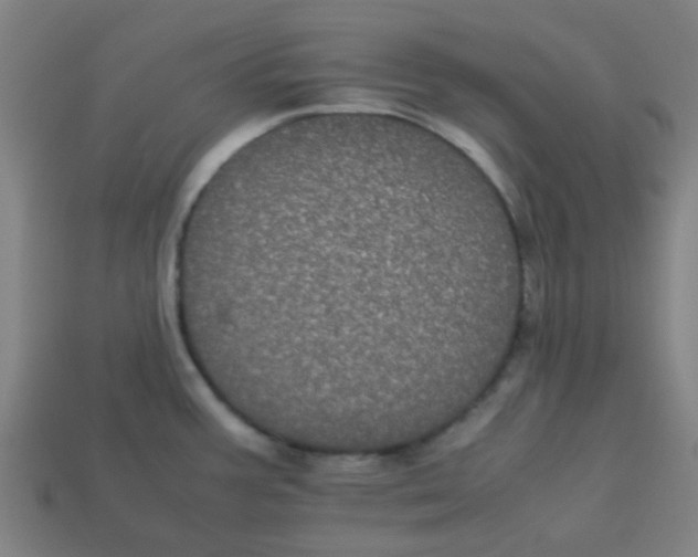 X0000113241387200910081249