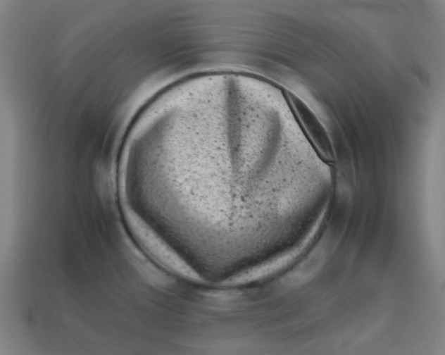 X0000113241388200910081249