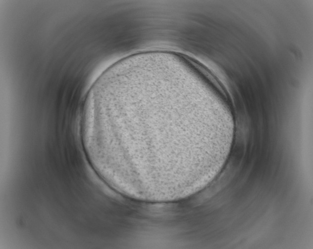 X0000113241390200910081249