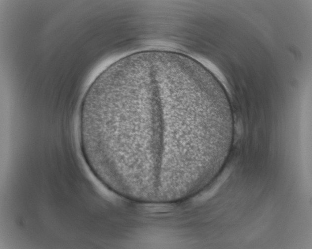 X0000113241391200910081249