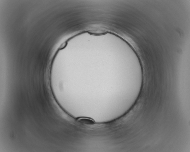 X0000113241392200910081249