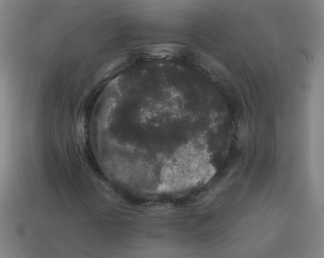 X0000113241394200910081248