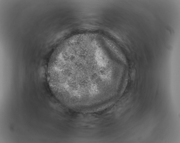 X0000113241397200910081248