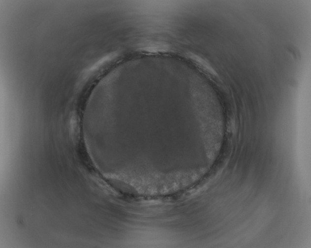 X0000113241398200910081248