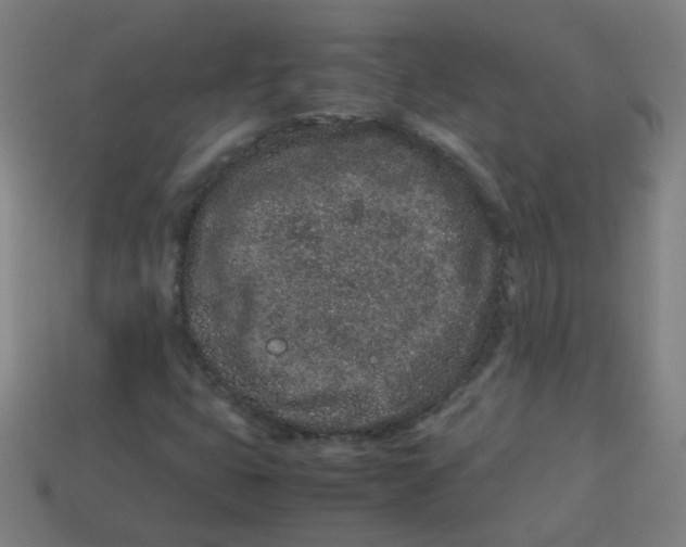 X0000113241399200910081248