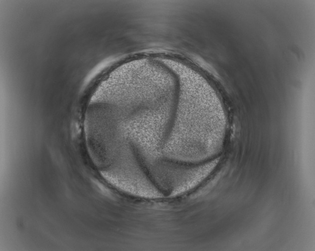 X0000113241400200910081248