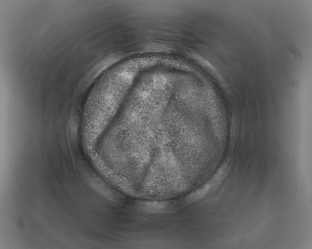 X0000113241401200910081248