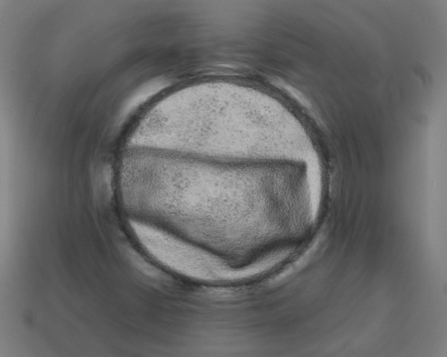 X0000113241402200910081248