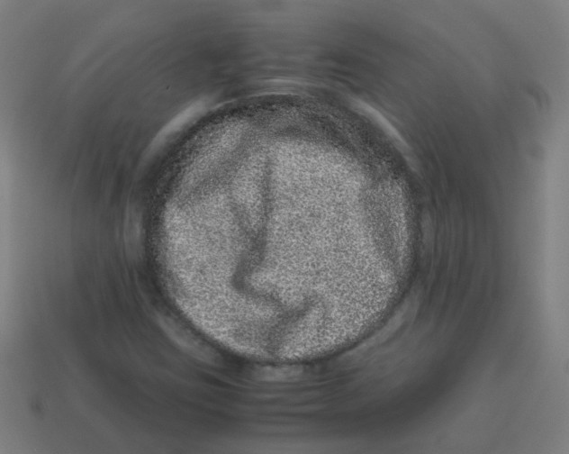 X0000113241403200910081248