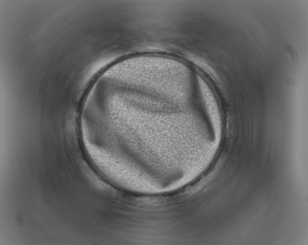 X0000113241404200910081248