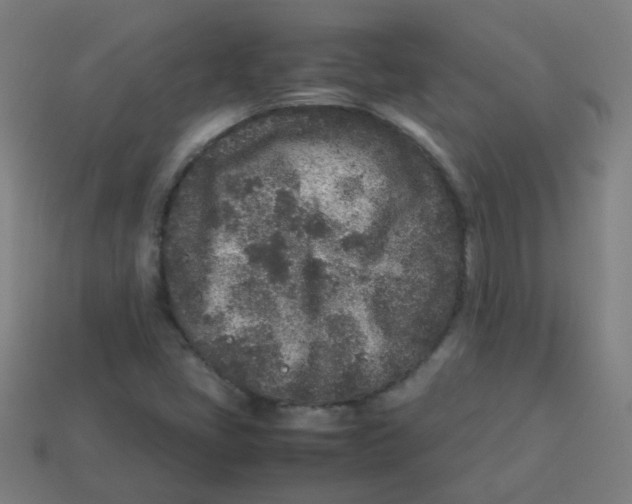 X0000113241405200910081248