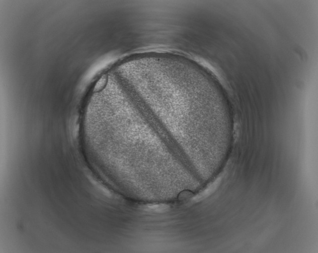 X0000113241406200910081248