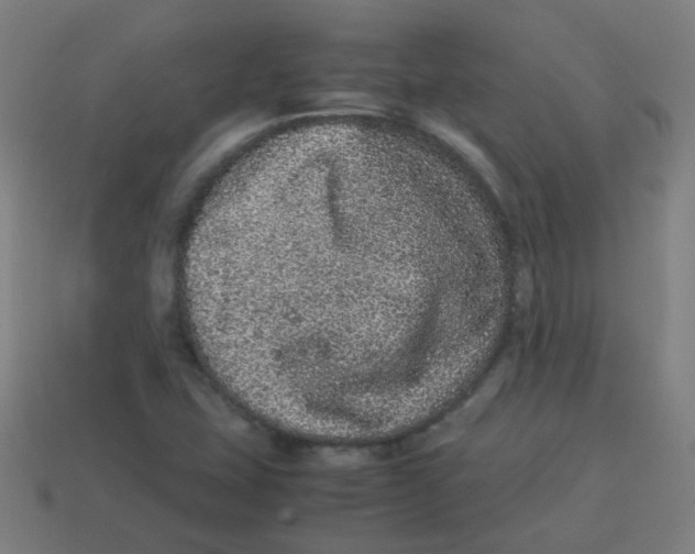 X0000113241407200910081248