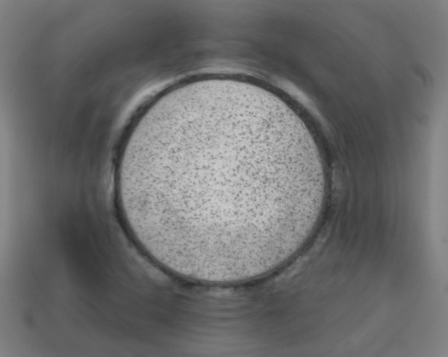 X0000113241408200910081248