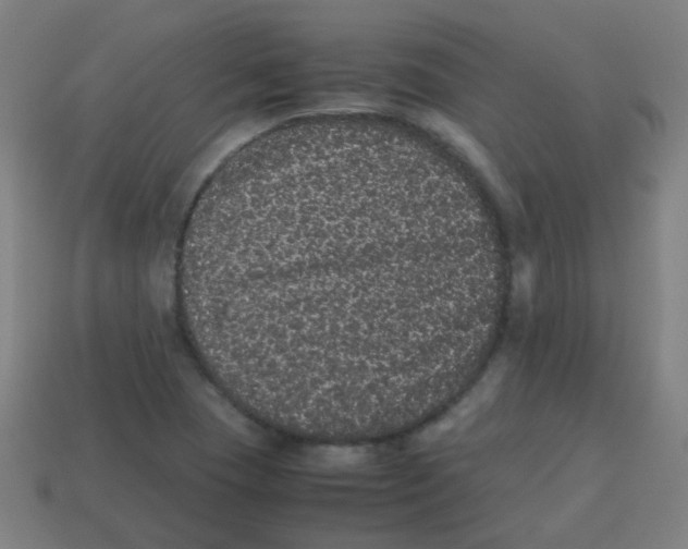 X0000113241409200910081249