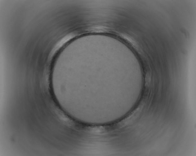 X0000113241410200910081249