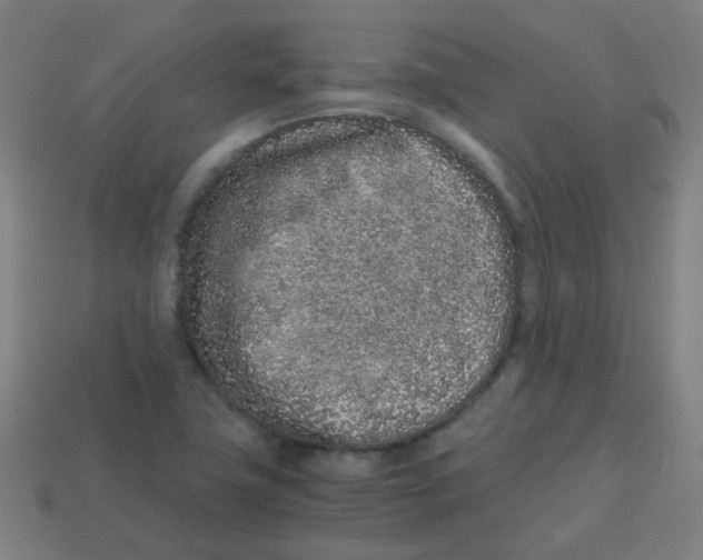 X0000113241411200910081249