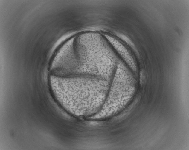 X0000113241412200910081249