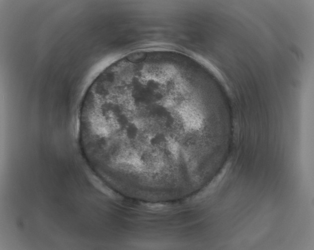 X0000113241413200910081249