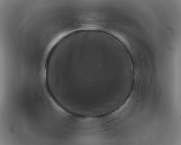 X0000113241414200910081249