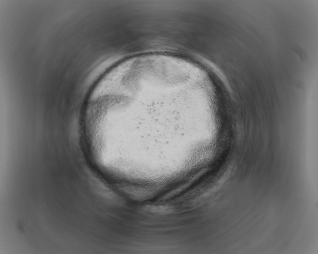 X0000113241415200910081249