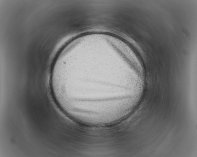 X0000113241416200910081249