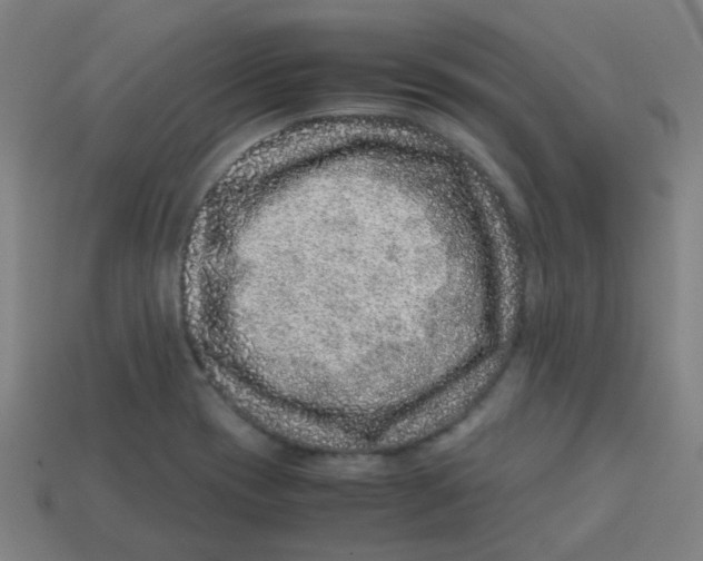 X0000113241417200910081249