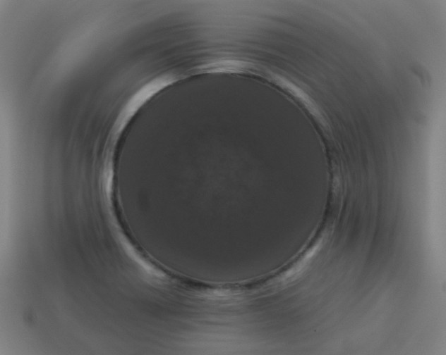 X0000113241418200910081249