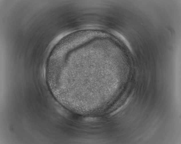 X0000113241419200910081249