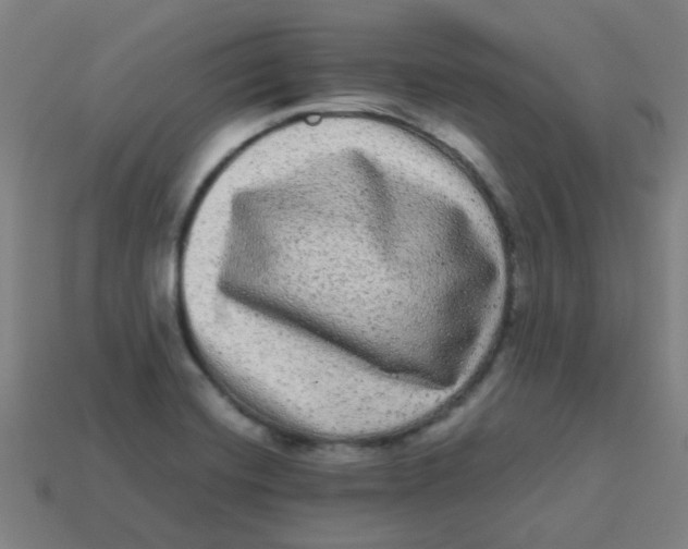 X0000113241420200910081249