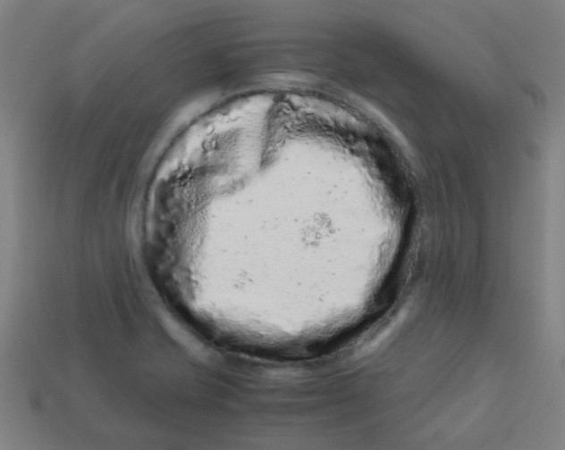 X0000113241421200910081249