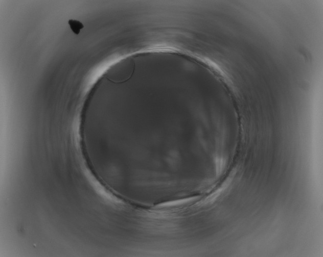 X0000113241422200910081249