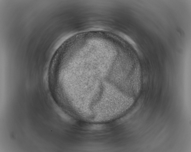 X0000113241423200910081249